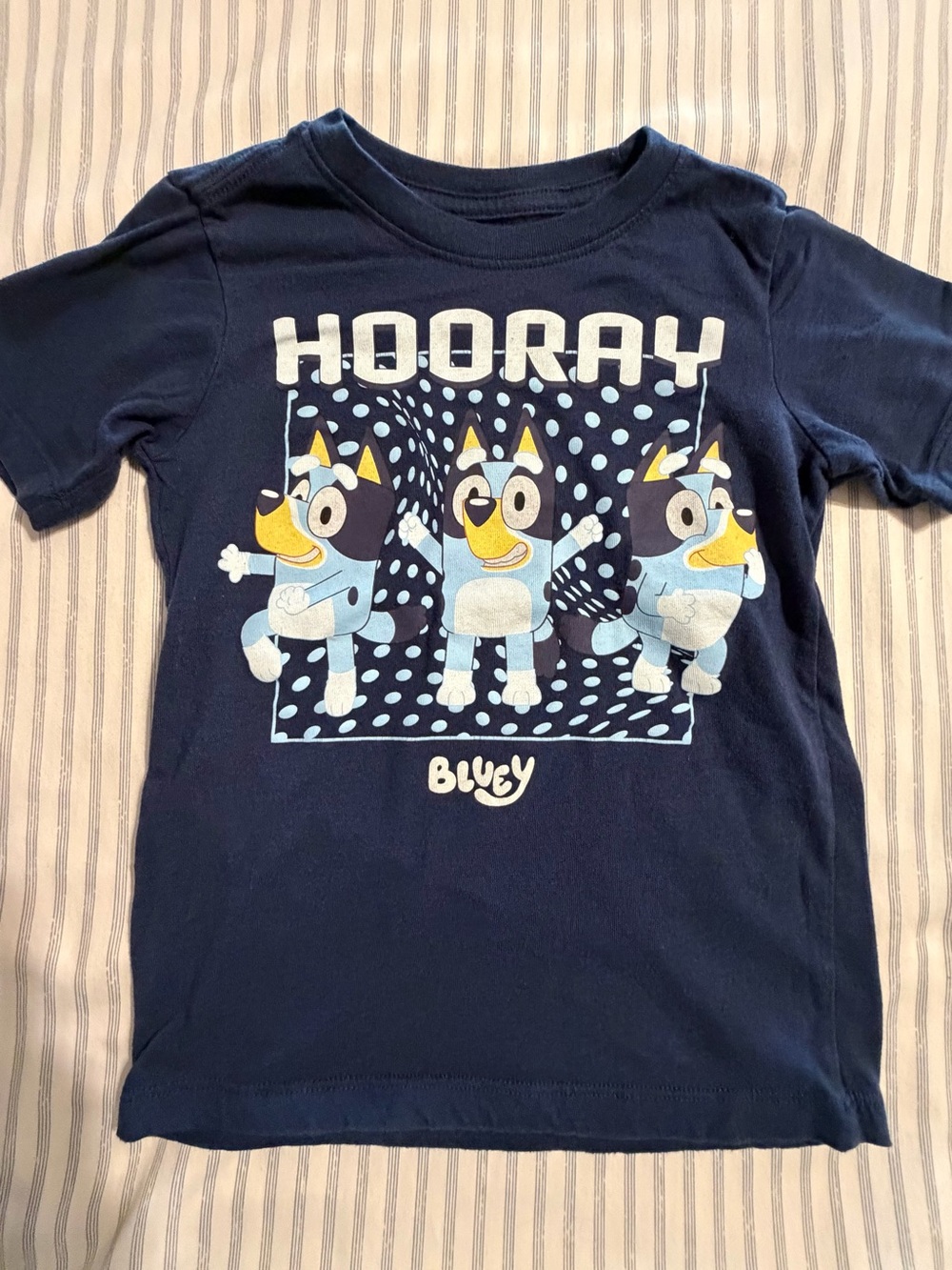 2 for$6✨Bluey Boy’s Graphic Short Sleeve Tee, Size XS (Age 4/5)
